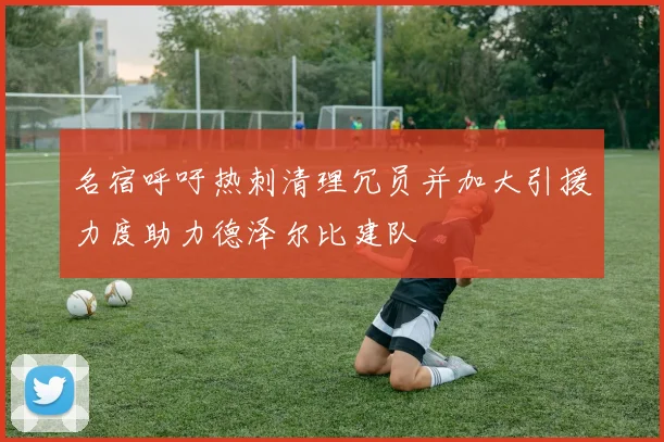 名宿呼吁热刺清理冗员并加大引援力度助力德泽尔比建队