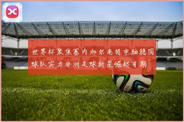 世界杯聚焦塞内加尔老将中轴稳固球队实力非洲足球新星崛起可期